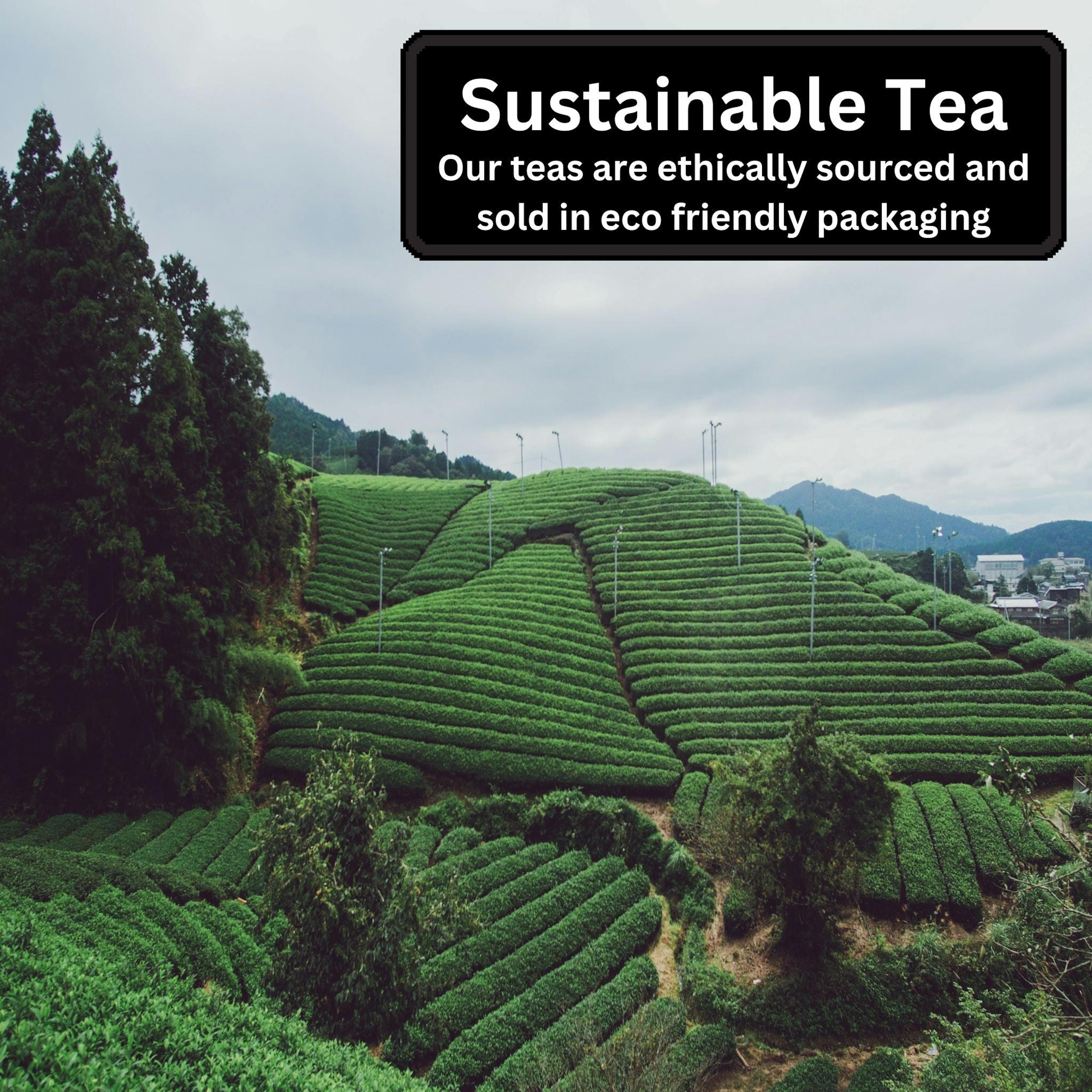 Classic Set Blended Tea Collection | Biodegradable Pyramid Bags | Pack of 3