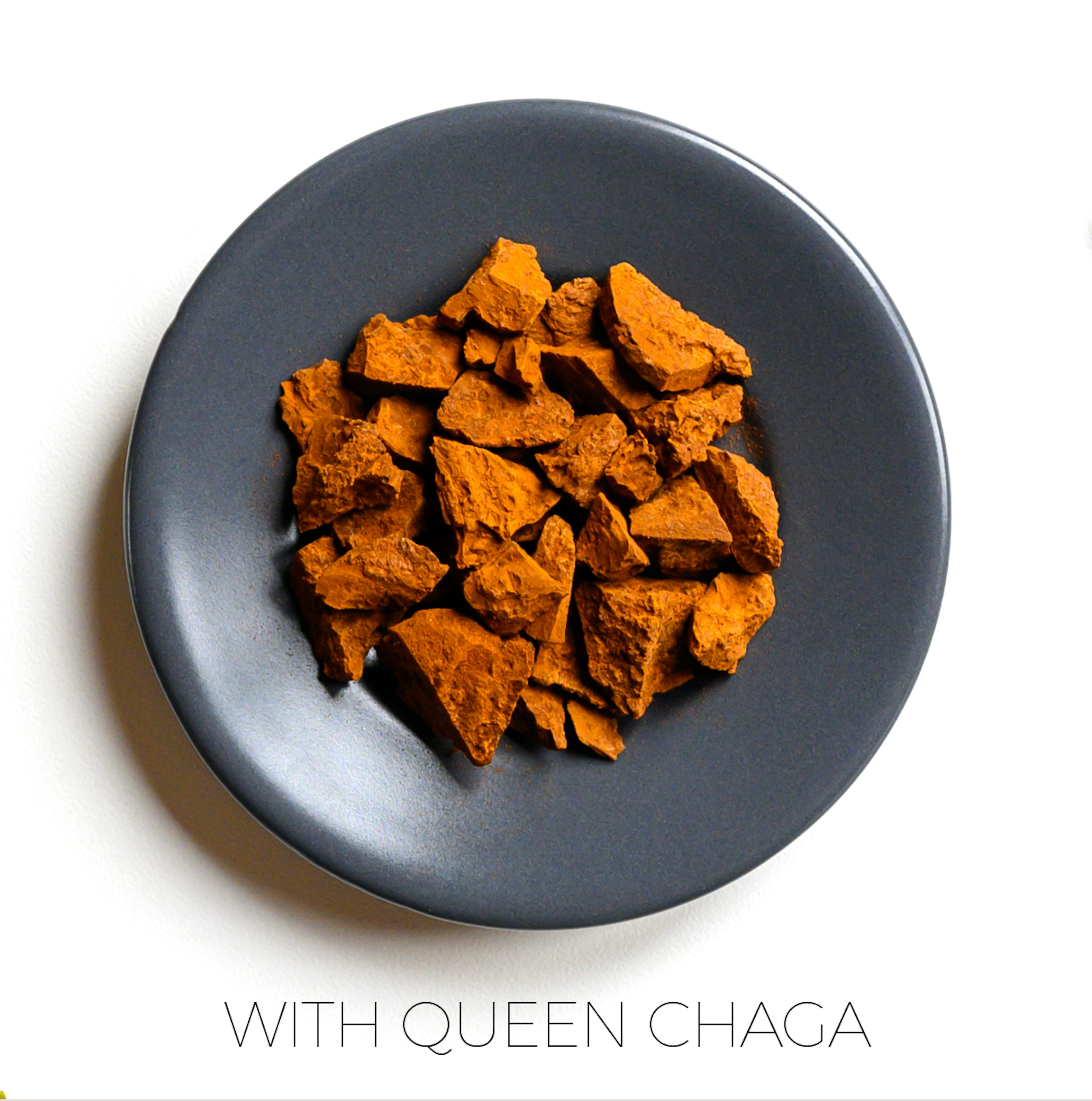 Go Glow | Organic Instant Coffee | Chaga and Chanterelle | 10 Servings