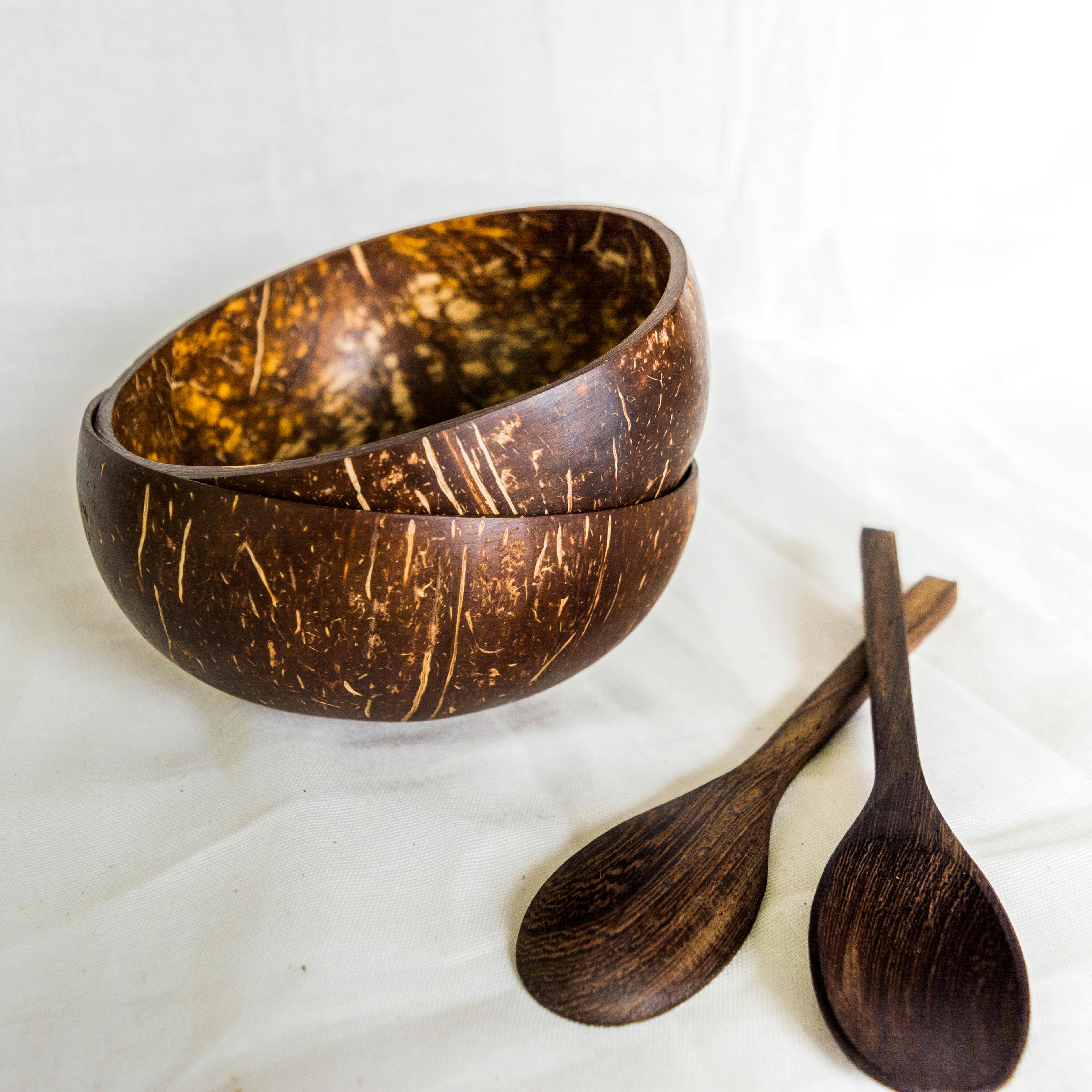 Repurposed Handmade Natural Coconut Bowl | Single