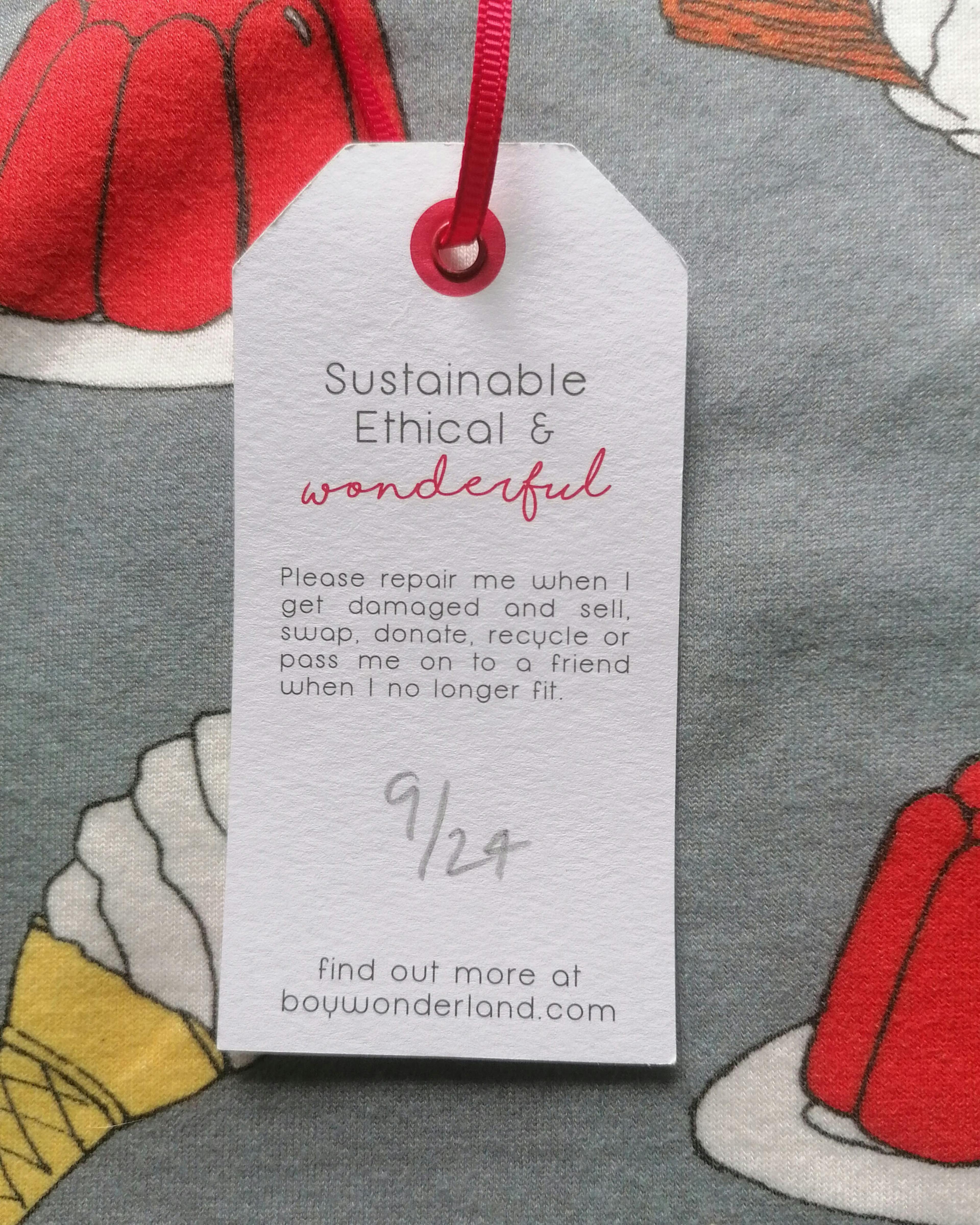 Thunberg Kids | 100% Organic Cotton Long Sleeved T-shirt | Jelly Print | Grey & Multi-Coloured